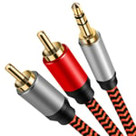 3.5mm to 2RCA Cable 5m, Youii 3.5mm to 2-Male RCA Adapter Audio Cable [Hi-Fi Sound] [Heavy Duty] Nylon-Braided AUX Y Cord for Stereo Receiver Speaker Smartphone Tablet HDTV Echo Dot & More.