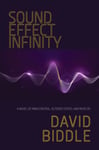 David Biddle - Sound Effect Infinity A Novel of Mind Control, Altered States, and Music Bok