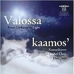 Unknown Artist : From Darkness to Light - Kaamos Chamber CD
