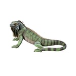 Design Toscano Iggy l'Iguane Statue de Jardin, 56 cm, polyrésine, palette complète de couleur