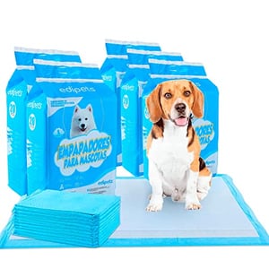 Lot De 100 Tapis D'éducation Pour Chien/chiot - 60x60 Cm, 6 Couches, Charbon Actif - Anti-fuites Et Contrôle Odeurs