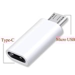 Rains-Adaptateur De Câble Femelle Vers Type-C Mâle,Connecteur D'éclairage,Convertisseur De Câble,Iphone 14 13 Pro Max Huawei P30 - Type Type-C To Micro Usb #B
