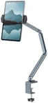 Desire2 Flex Arm Desk Mount