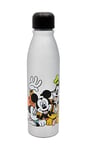 Disney - Mickey Mouse & Friends Aluminum Water Bottle 600ml – Official Merchandise by Polar Gear, Kids Reusable Non Spill BPA Free Recyclable - Ideal For School, Picnic - Multicolour, White