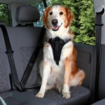 Dog Protect - Säkerhetsbälte för hund