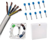 Boîte de raccordement avec câble de raccordement de 2 m blanc H05VV-F 5G2,5 mm2 (2 m) et bornes de raccordement colorées compatibles avec les câbles et 10 embouts assortis (câble de base 3,30 €/m).