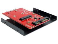 Delock Adaptateur mSATA-SSD vers SATA avec rack disque dur 22 broches 8,9 cm/3,5"