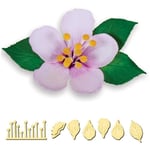Spellbinders® Die D-lites Create A Flower Cutting Embossing Dies Sale Clearance