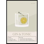 Gallerix Poster Gin Tonic Cocktail 30x40 5141-30x40