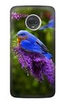 Bluebird of Happiness Blue Bird Case Cover For Motorola Moto G7, Moto G7 Plus