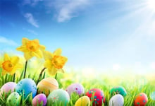 HD 7x5ft Easter Photography Backdrop Egg Hunt on Green Grass With Yellow Flowers Blue Sky White Clouds Background Backdrops for Photo Booth Party Banner Kids Photo Studio Props
