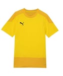 PUMA Mixte enfant Teamgoal 23 Training Jersey Jr T Shirt, Cyber Yellow-spectra Yellow, FR : Taille unique (Taille Fabricant 116) EU