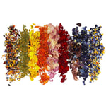 Dried Mixed Edible Flowers
