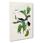 Torres Strait Fruit Pigeon by Elizabeth Gould Canvas Print for Living Room Bedroom Home Office Décor, Wall Art Picture Ready to Hang, 30 x 20 Inch (76 x 50 cm)