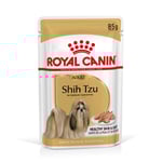 Royal Canin Breed Shih Tzu Adult Adult Mousse - 48 x 85 g