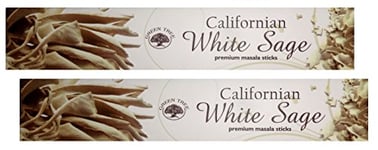 Trimontium rw84002 GTL Premium Lot de bâtonnets d'encens Masala Duo (2 x 15 g) White Sage/Blanc (Indiens-), Sauge, Herbes, gummen, résines, Racines, huiles essentielles, Naturel, 21.5 x 8 x 1.9 cm