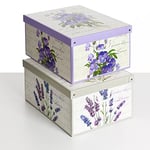 Lavatelli Lot de 2 boîtes de Rangement en Carton, avec Couvercle, pour Ranger, boîtes Cadeau, 39x50x24 cm Mix 11, Couleur 11