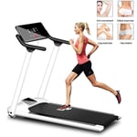 FOOX Treadmills Professional, Running Machines For Home Folding, Small Weight Loss Slimming Treadmill With LCD Display, Mute Walking Machine