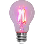 Växtlampa Normal Plant Light LED 6,5W 200lm E27