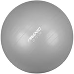 Avento Trening / Gym Ball Ø 75 cm Sølv