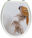 pixxp Rint 3D WCS 1103 _ 32 x 40 Petit Oiseau sur Le blé en Hiver comme Matériau Doux Autocollant pour abattant de Toilettes, WC, Klo Couvercle, Brillant, Multicolore, 40 x 32 cm