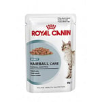 ROYAL CANIN Cat Hair Ball Care, Wet Food Dietary Cats - 85 gr