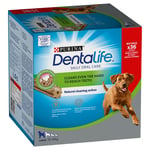 Purina Dentalife daglig tannhygiene-snacks for store hunder - 36 Sticks  (12 x 106 g)