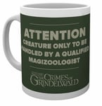 FANTASTIC BEASTS 2 THE CRIMES OF GRINDELWALD COFFEE MUG CUP NEW IN GIFT BOX