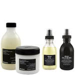 Davines OI Family 4