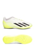 X Crazyfast.4 Indoor Boots Sport Sport Shoes Football Boots White Adidas Performance