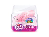 Pets Alive Swimming Axolotls