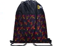 St. Majewski Skopåse Rainbow Birds