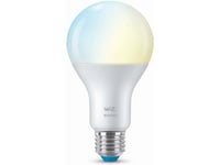 Wifi Smart Led E27 Normal 100W