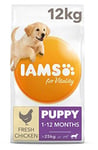 Iams For Vitality Puppy Food Large Breed With Fresh Chicken, 12 Kg