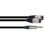 Cable 2 XLR males Jack 6.35 male 3m