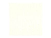 Van Gogh Oil Colour Tin Zinc White (Safflower Oil) 104
