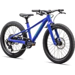 Specialized Riprock 20 Gloss Sphr Egrn