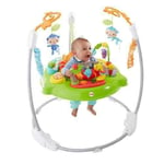 Fisher-Price Rainforest Jumperoo 2