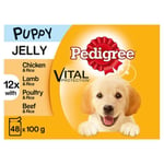 48 X 100g Pedigree Puppy Junior Wet Dog Food Pouches Mixed Varieties In Jelly