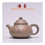 YUXINXIN Purple ore Wholly Handmade pots Beautiful Green Stucco Pan Teapot Tea Teapot Set (Color : Gray)