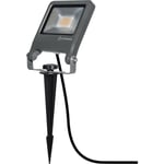 Ledvance Endura LED projektør bedlampe, 20W