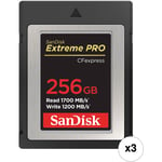 SanDisk 256GB Extreme PRO CFexpress Card Type B (3-Pack)