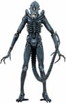 NECA 7" Alien Action Figures Series 2 Xenomorph Warrior (Blue) Action Figure 