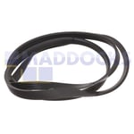 Drive Belt Compatible with AEG 500-600-700-800-900-1000 Series