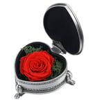 RAGZAN Valentine’S Day Gifts, Gifts for Her, Never Withered Roses, Birthday for Wives or Girlfriends,Gift for Mother's Day, Anniversary, The most Popular for Women - Red