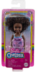 Mattel Barbie Chelsea Doll Butterfly Dress African American