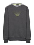 EA7 Sweatshirt Sweat-shirt Tröja Grå [Color: CARBON MELANGE ][Sex: Kids ][Sizes: 128 ]