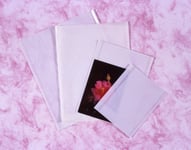 Kenro Clear Fronted Bag for Photo Storage 5.5x6 Inch Pack of 500 - NB020