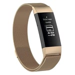 Beilaishi Stainless Steel Magnet Wrist Strap for FITBIT Charge 4，Small Size: 190x18mm(Black) replacement watchbands (Color : Champagne Gold)