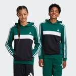 Tiberio 3-Stripes Colorblock Fleece Hoodie Barn
